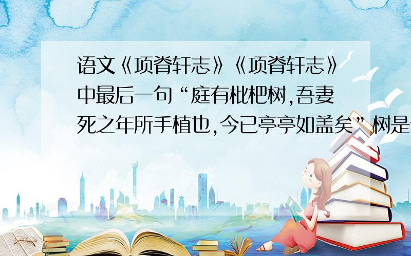 语文《项脊轩志》《项脊轩志》中最后一句“庭有枇杷树,吾妻死之年所手植也,今已亭亭如盖矣”树是谁种的?