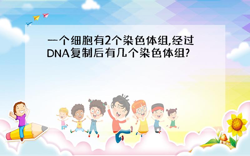 一个细胞有2个染色体组,经过DNA复制后有几个染色体组?