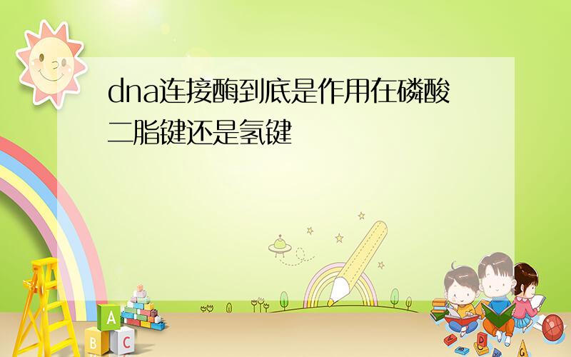 dna连接酶到底是作用在磷酸二脂键还是氢键