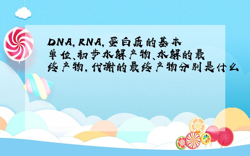 DNA,RNA,蛋白质的基本单位、初步水解产物、水解的最终产物,代谢的最终产物分别是什么