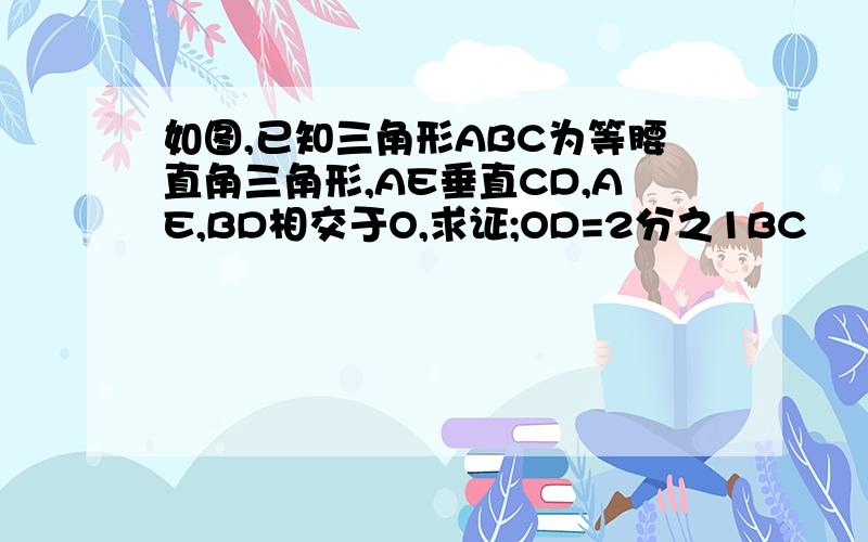 如图,已知三角形ABC为等腰直角三角形,AE垂直CD,AE,BD相交于O,求证;OD=2分之1BC