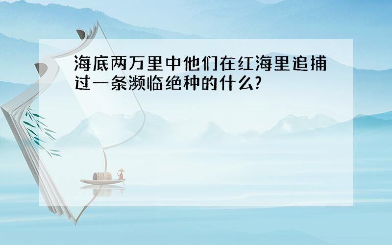 海底两万里中他们在红海里追捕过一条濒临绝种的什么?