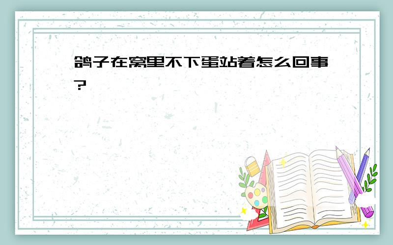 鸽子在窝里不下蛋站着怎么回事?