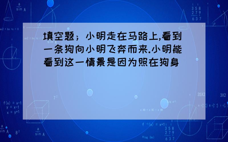 填空题；小明走在马路上,看到一条狗向小明飞奔而来.小明能看到这一情景是因为照在狗身