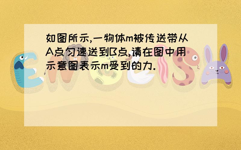 如图所示,一物体m被传送带从A点匀速送到B点,请在图中用示意图表示m受到的力.