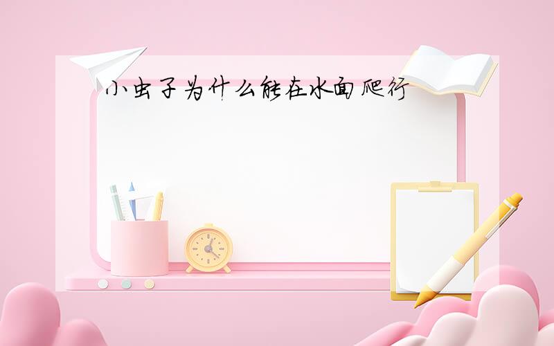 小虫子为什么能在水面爬行