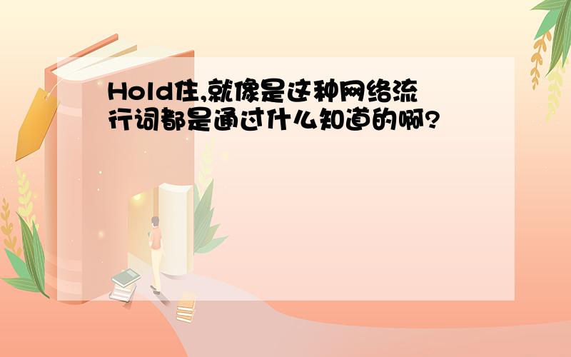 Hold住,就像是这种网络流行词都是通过什么知道的啊?