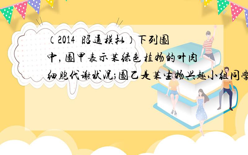 （2014•昭通模拟）下列图中，图甲表示某绿色植物的叶肉细胞代谢状况；图乙是某生物兴趣小组同学将该植物栽培在密闭玻璃温室