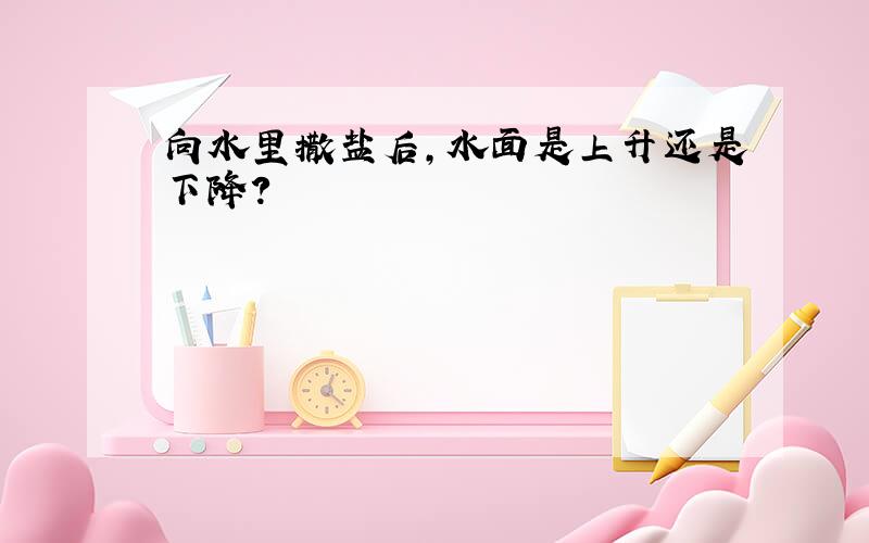 向水里撒盐后,水面是上升还是下降?