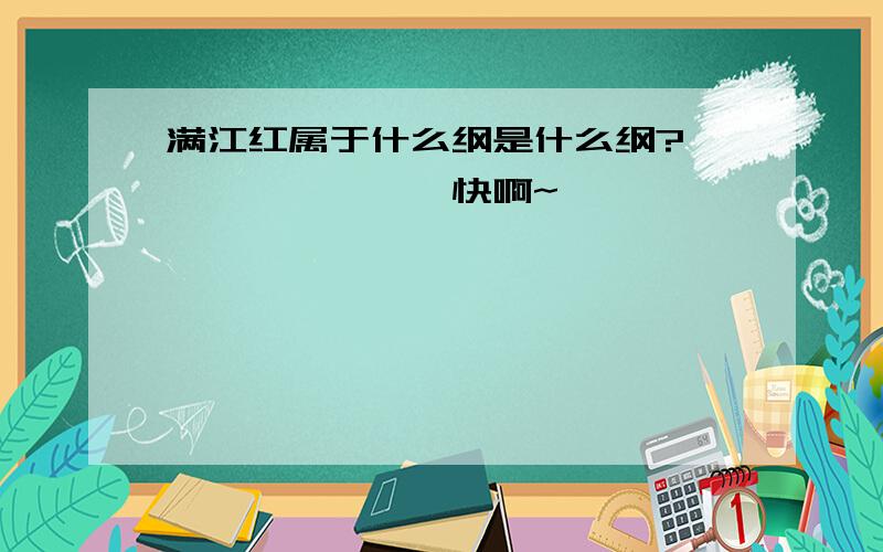 满江红属于什么纲是什么纲?````````快啊~