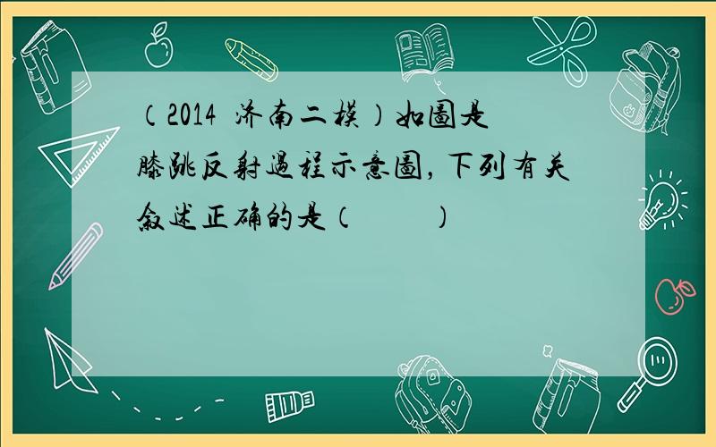 （2014•济南二模）如图是膝跳反射过程示意图，下列有关叙述正确的是（　　）