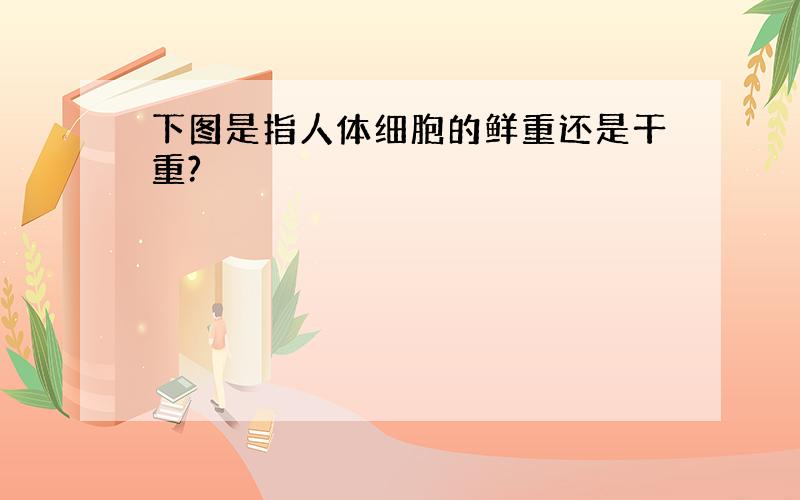 下图是指人体细胞的鲜重还是干重?