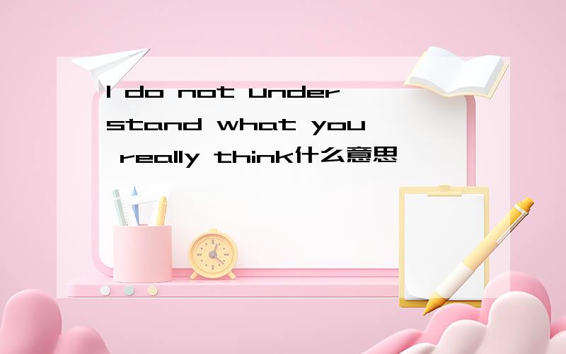 l do not understand what you really think什么意思