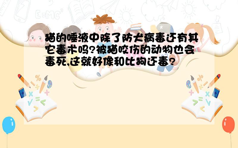 猫的唾液中除了防犬病毒还有其它毒术吗?被猫咬伤的动物也会毒死,这就好像和比狗还毒?