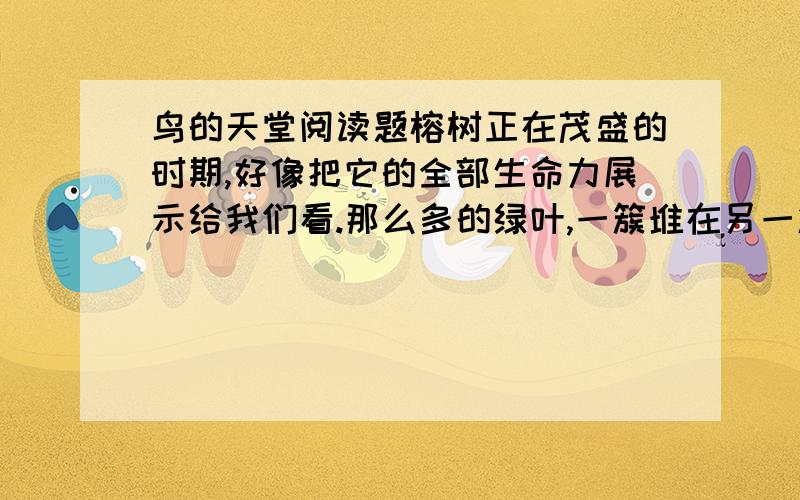 鸟的天堂阅读题榕树正在茂盛的时期,好像把它的全部生命力展示给我们看.那么多的绿叶,一簇堆在另一簇上面,不留一点缝隙.那翠