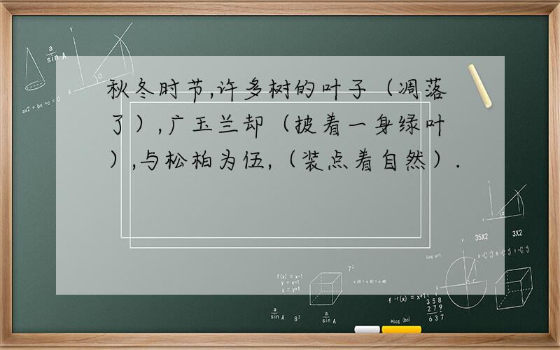 秋冬时节,许多树的叶子（凋落了）,广玉兰却（披着一身绿叶）,与松柏为伍,（装点着自然）.