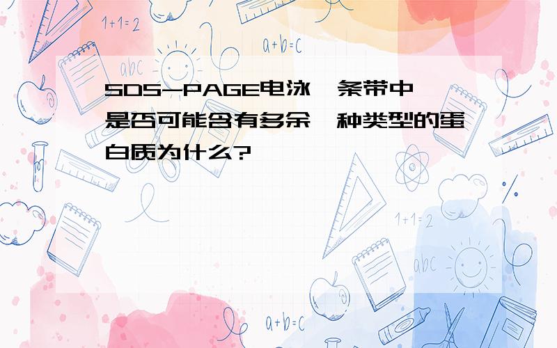 SDS-PAGE电泳一条带中是否可能含有多余一种类型的蛋白质为什么?