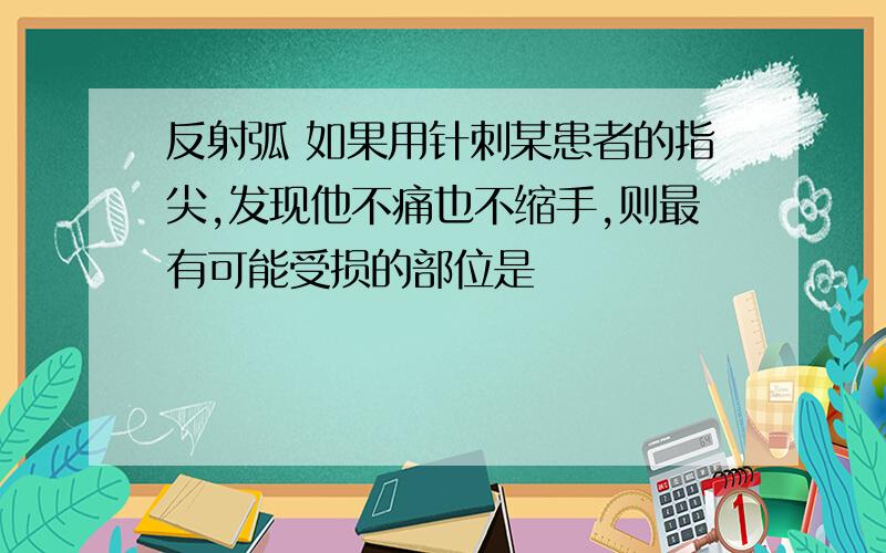 反射弧 如果用针刺某患者的指尖,发现他不痛也不缩手,则最有可能受损的部位是