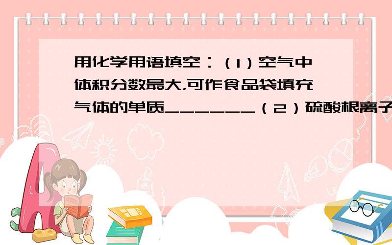 用化学用语填空：（1）空气中体积分数最大，可作食品袋填充气体的单质______（2）硫酸根离子______；（3）体温计