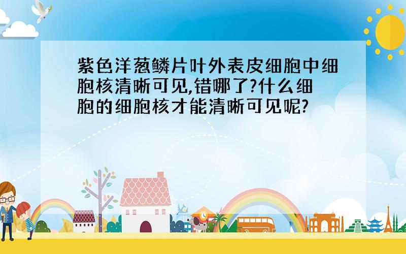 紫色洋葱鳞片叶外表皮细胞中细胞核清晰可见,错哪了?什么细胞的细胞核才能清晰可见呢?