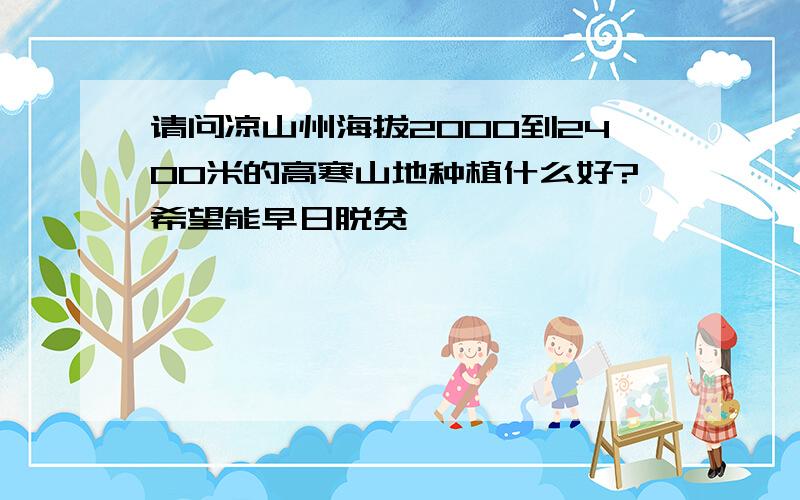 请问凉山州海拔2000到2400米的高寒山地种植什么好?希望能早日脱贫