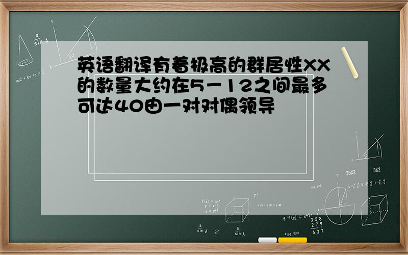 英语翻译有着极高的群居性XX的数量大约在5－12之间最多可达40由一对对偶领导