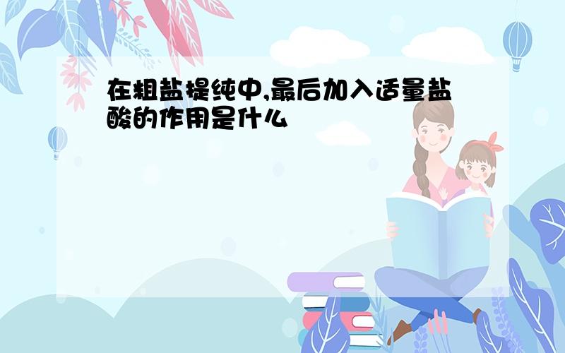 在粗盐提纯中,最后加入适量盐酸的作用是什么