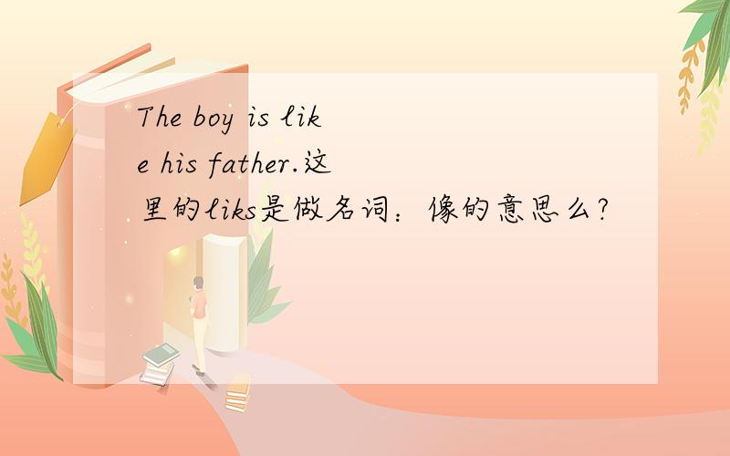 The boy is like his father.这里的liks是做名词：像的意思么?