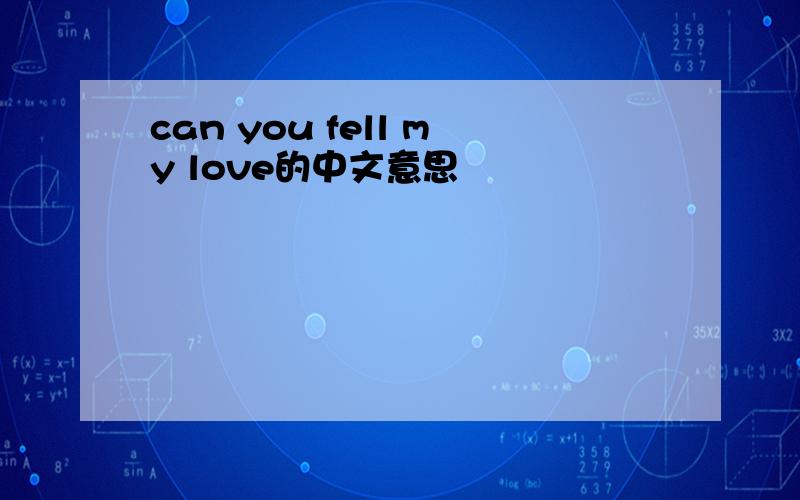 can you fell my love的中文意思