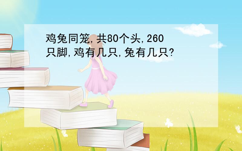 鸡兔同笼,共80个头,260只脚,鸡有几只,兔有几只?