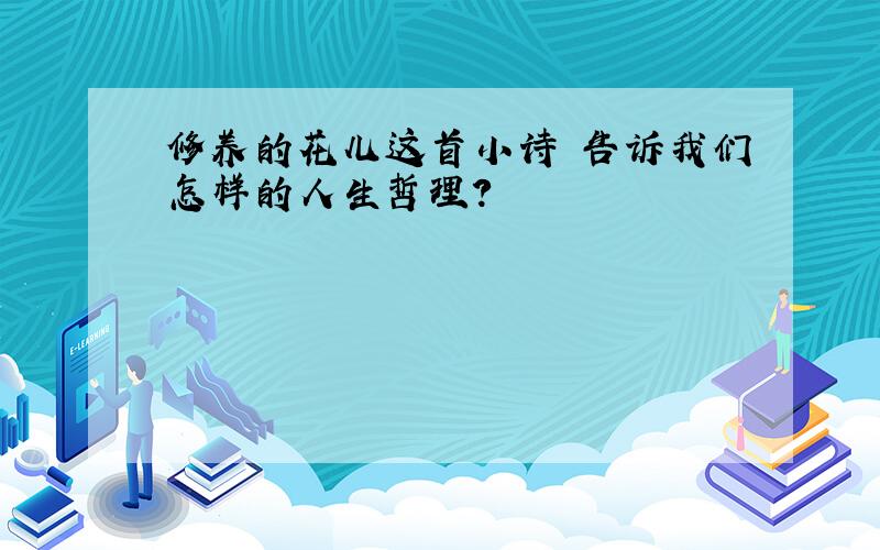 修养的花儿这首小诗 告诉我们怎样的人生哲理?