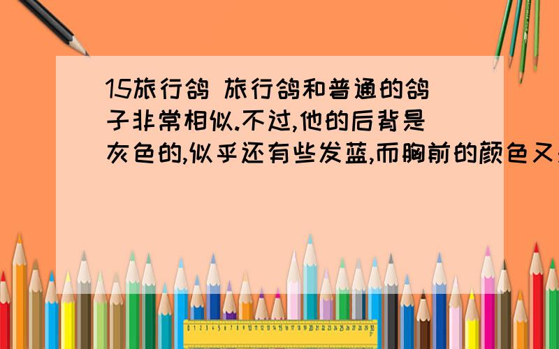 15旅行鸽 旅行鸽和普通的鸽子非常相似.不过,他的后背是灰色的,似乎还有些发蓝,而胸前的颜色又是鲜红的,所以看上去是那么