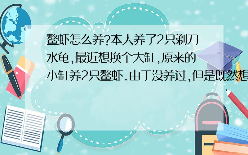 鳌虾怎么养?本人养了2只剃刀水龟,最近想换个大缸,原来的小缸养2只鳌虾.由于没养过,但是既然想养就得对人家生命负责人,所