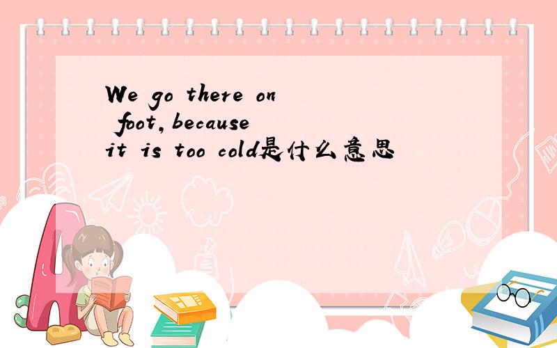 We go there on foot,because it is too cold是什么意思