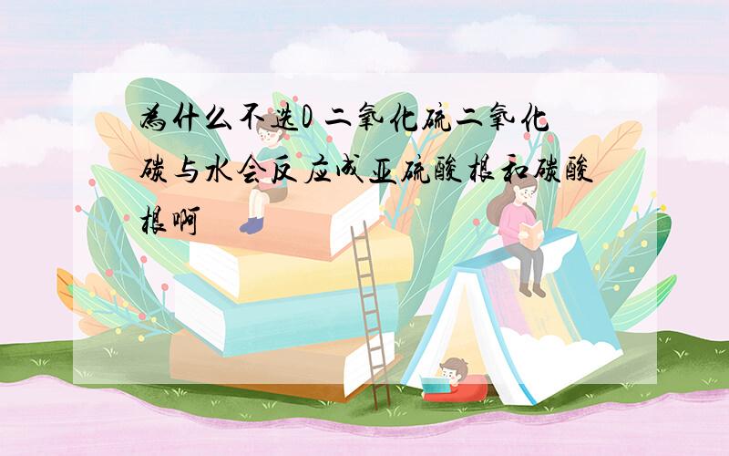 为什么不选D 二氧化硫二氧化碳与水会反应成亚硫酸根和碳酸根啊