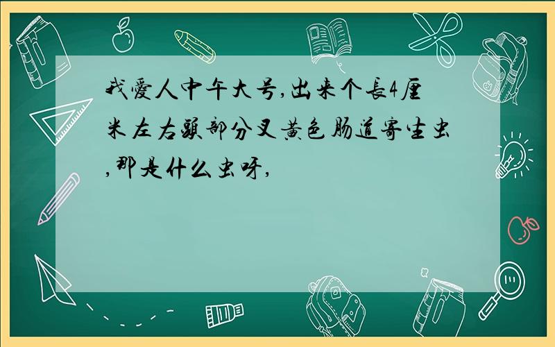 我爱人中午大号,出来个长4厘米左右头部分叉黄色肠道寄生虫,那是什么虫呀,