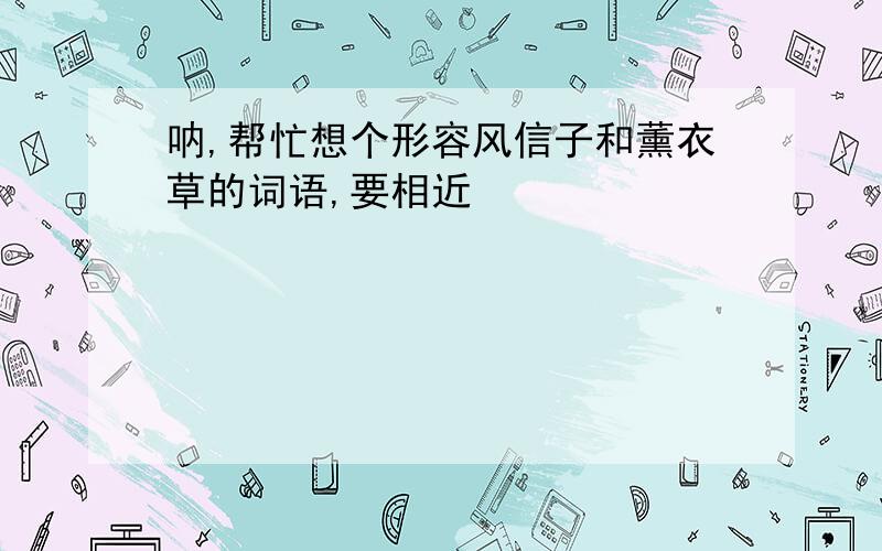 呐,帮忙想个形容风信子和薰衣草的词语,要相近