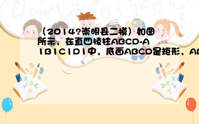 （2014?崇明县二模）如图所示，在直四棱柱ABCD-A1B1C1D1中，底面ABCD是矩形，AB=1，BC=2，AA1