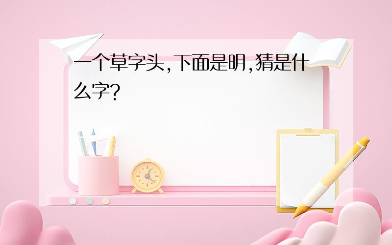 一个草字头,下面是明,猜是什么字?