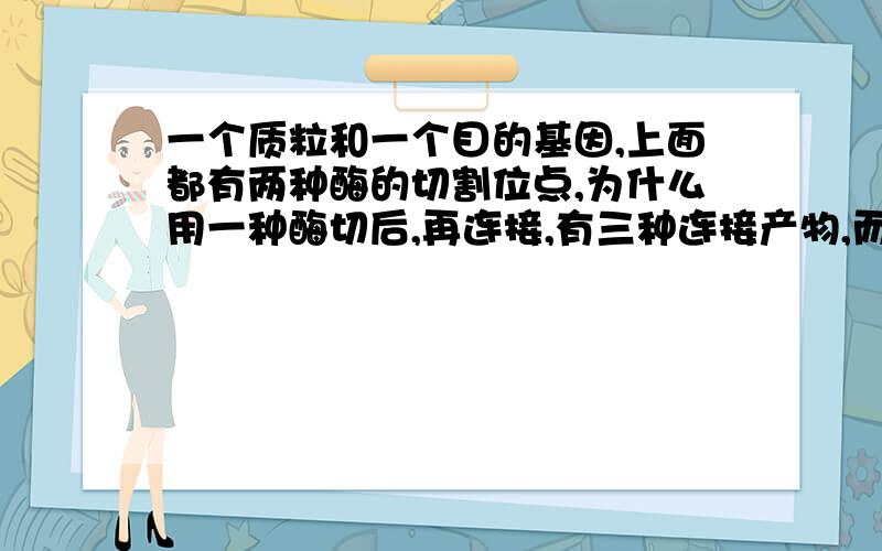 一个质粒和一个目的基因,上面都有两种酶的切割位点,为什么用一种酶切后,再连接,有三种连接产物,而...