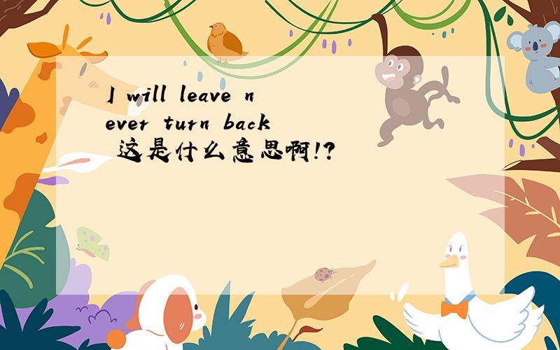 I will leave never turn back 这是什么意思啊!?