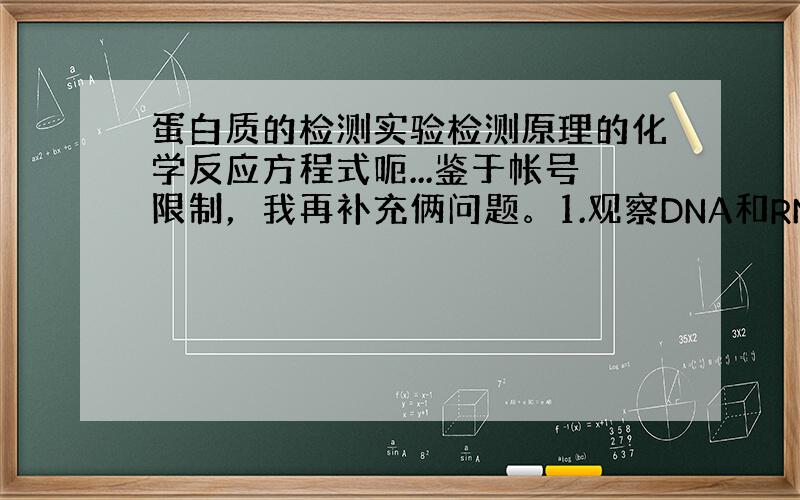 蛋白质的检测实验检测原理的化学反应方程式呃...鉴于帐号限制，我再补充俩问题。1.观察DNA和RNA在细胞中分布的实验为