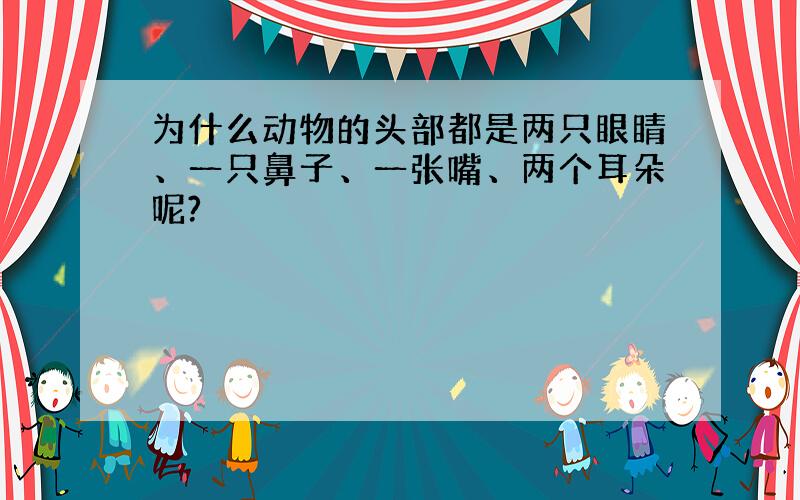 为什么动物的头部都是两只眼睛、一只鼻子、一张嘴、两个耳朵呢?