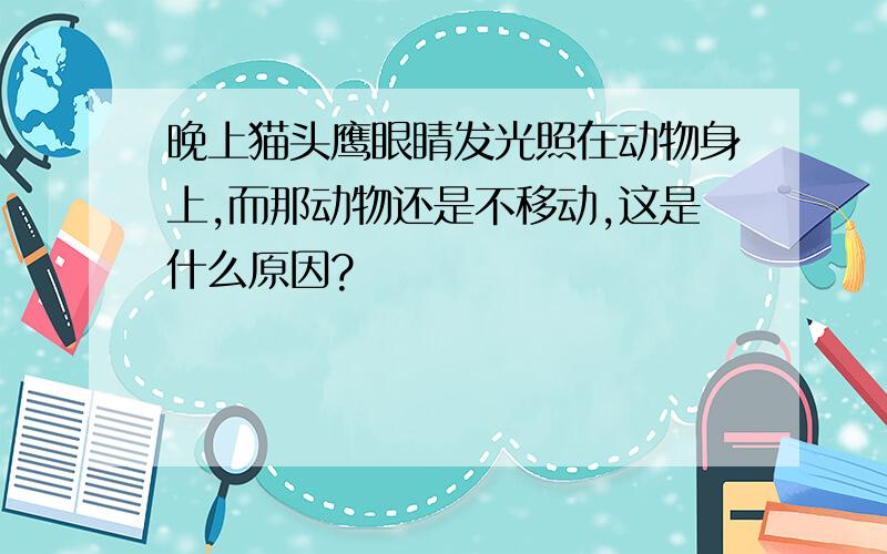 晚上猫头鹰眼睛发光照在动物身上,而那动物还是不移动,这是什么原因?