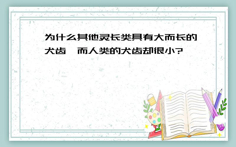 为什么其他灵长类具有大而长的犬齿,而人类的犬齿却很小?