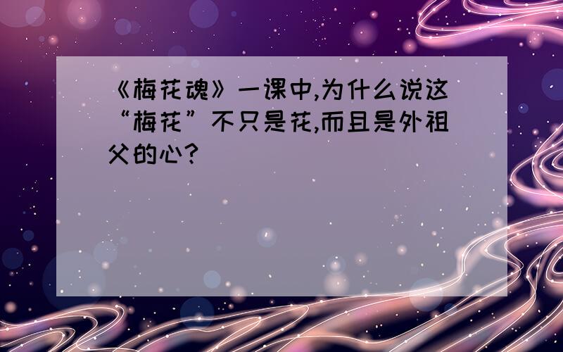 《梅花魂》一课中,为什么说这“梅花”不只是花,而且是外祖父的心?