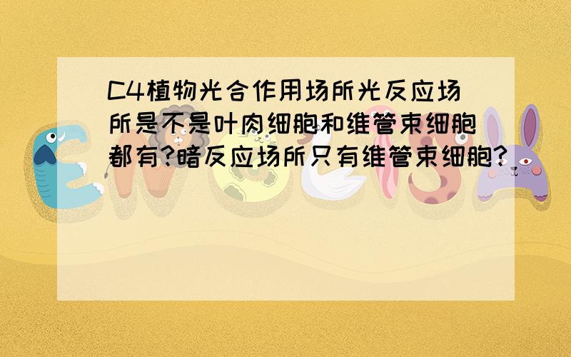 C4植物光合作用场所光反应场所是不是叶肉细胞和维管束细胞都有?暗反应场所只有维管束细胞?