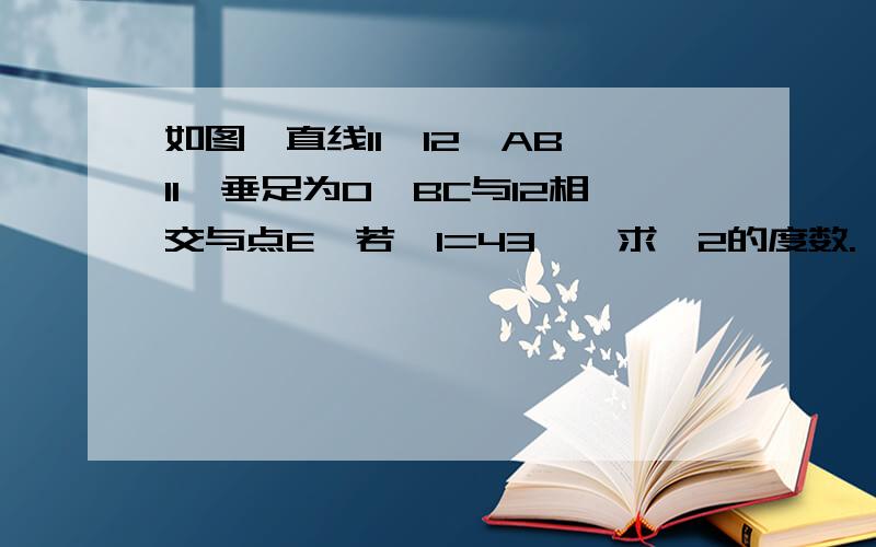 如图,直线l1‖l2,AB⊥l1,垂足为O,BC与l2相交与点E,若∠1=43°,求∠2的度数.