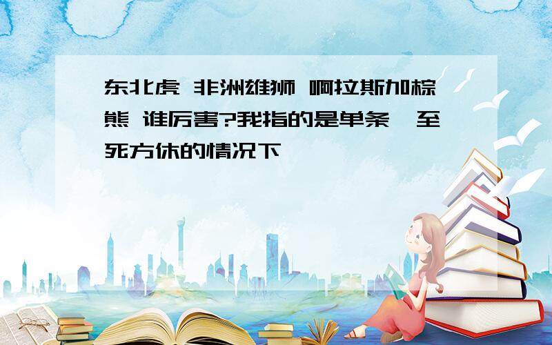 东北虎 非洲雄狮 啊拉斯加棕熊 谁厉害?我指的是单条,至死方休的情况下