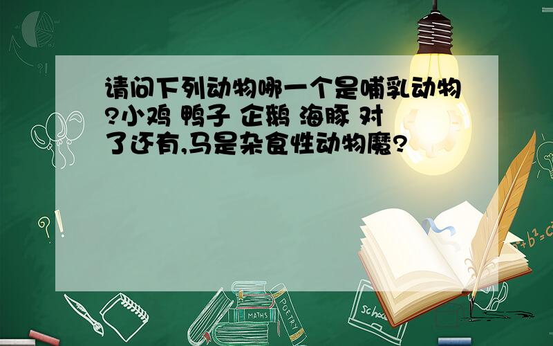 请问下列动物哪一个是哺乳动物?小鸡 鸭子 企鹅 海豚 对了还有,马是杂食性动物魔?